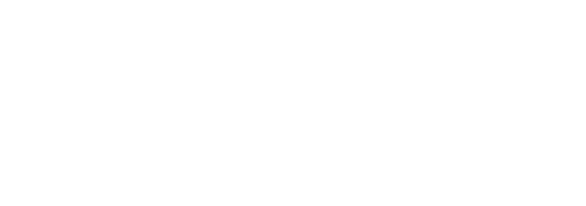 BASTION